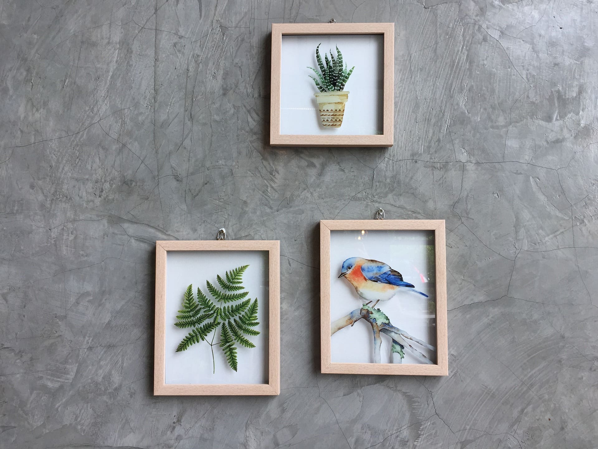 Three framed pictures of plants and a bird hanging on the wall.